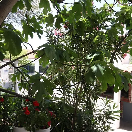 By The Sea Biograd Na Moru, Biograd - 858 Apartment *